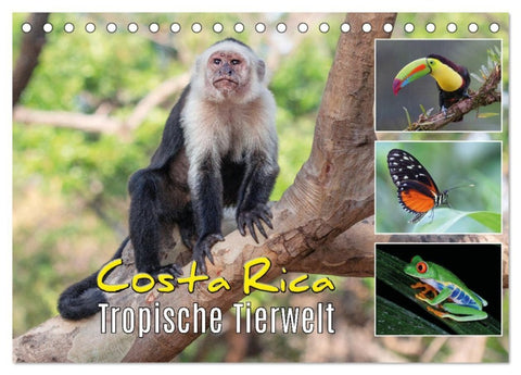 Costa Rica - Tropische Tierwelt (Tischkalender 2027 DIN A5 quer), CALVENDO Monatskalender