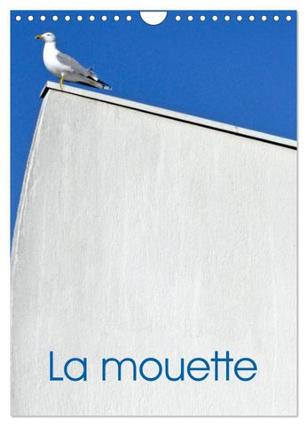 La mouette (Calendrier mural 2027 DIN A4 horizontal), CALVENDO calendrier mensuel