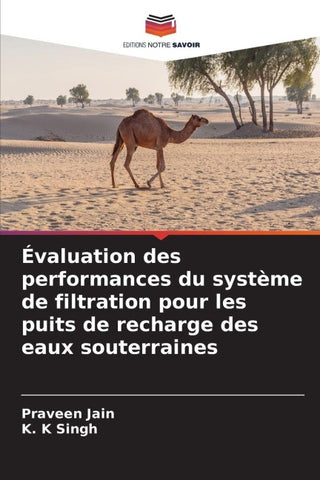 Évaluation des performances du système de filtration pour les puits de recharge des eaux souterraines
