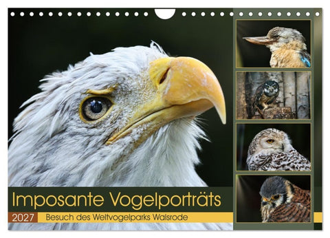 Imposante Vogelporträts (Wandkalender 2027 DIN A4 quer), CALVENDO Monatskalender