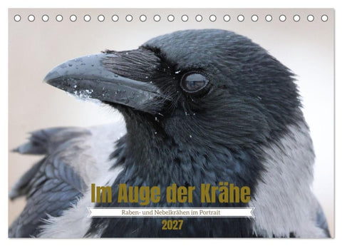 Im Auge der Krähe (Tischkalender 2027 DIN A5 quer), CALVENDO Monatskalender