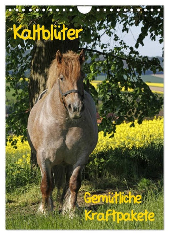 Kaltblüter (Wandkalender 2026 DIN A4 hoch), CALVENDO Monatskalender