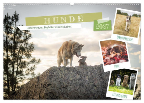 Hunde, unsere treuen Begleiter durch's Leben. (Wandkalender 2027 DIN A2 quer), CALVENDO Monatskalender