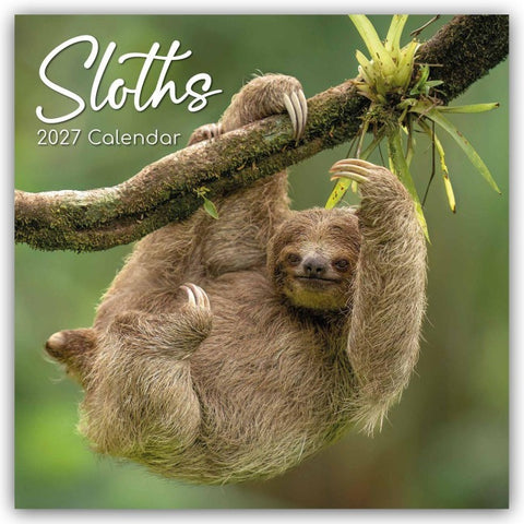 Sloths – Faultiere 2027 – 16-Monatskalender