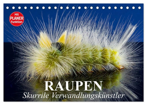 Raupen. Skurrile Verwandlungskünstler (Tischkalender 2026 DIN A5 quer), CALVENDO Monatskalender