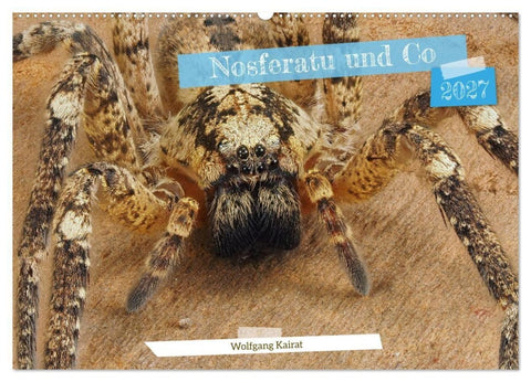 Nosferatu und Co. (Wandkalender 2027 DIN A2 quer), CALVENDO Monatskalender