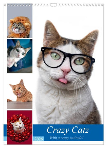 Crazy Catz. (Wandkalender 2026 DIN A3 hoch), CALVENDO Monatskalender