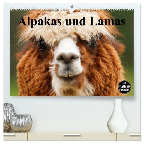 Alpakas und Lamas (hochwertiger Premium Wandkalender 2027 DIN A2 quer), Kunstdruck in Hochglanz