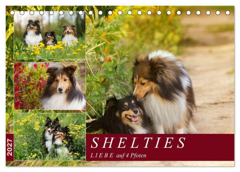 SHELTIES Liebe auf 4 Pfoten (Tischkalender 2027 DIN A5 quer), CALVENDO Monatskalender