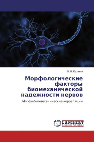Morfologicheskie faktory biomehanicheskoj nadezhnosti nerwow