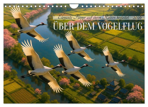 Über dem Vogelflug (Wandkalender 2026 DIN A4 quer), CALVENDO Monatskalender