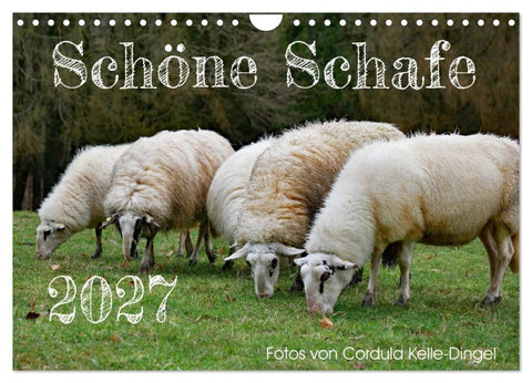 Schöne Schafe (Wandkalender 2027 DIN A4 quer), CALVENDO Monatskalender
