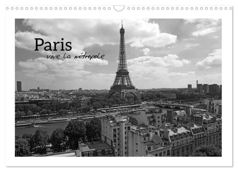 Paris vive la métropole (Wandkalender 2026 DIN A3 quer), CALVENDO Monatskalender