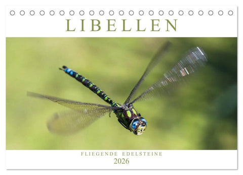 Libellen - Fliegende Edelsteine (Tischkalender 2026 DIN A5 quer), CALVENDO Monatskalender
