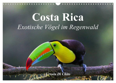 Costa Rica - Exotische Vögel im Regenwald (Wandkalender 2027 DIN A3 quer), CALVENDO Monatskalender