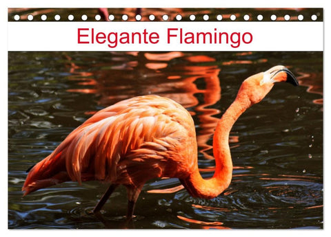 Elegante Flamingo (Tischkalender 2026 DIN A5 quer), CALVENDO Monatskalender