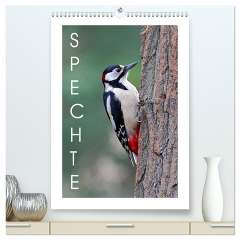 Spechte (hochwertiger Premium Wandkalender 2026 DIN A2 hoch), Kunstdruck in Hochglanz
