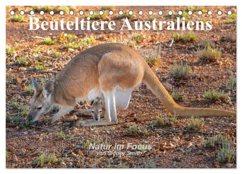 Beuteltiere Australiens (Tischkalender 2027 DIN A5 quer), CALVENDO Monatskalender