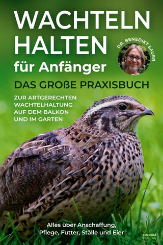 Wachteln halten für Anfänger