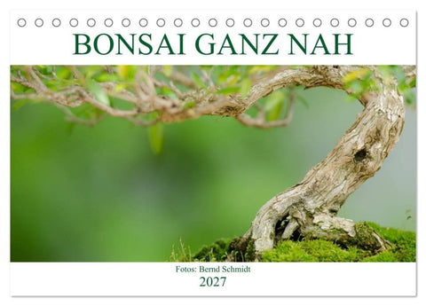 Bonsai ganz nah (Tischkalender 2027 DIN A5 quer), CALVENDO Monatskalender