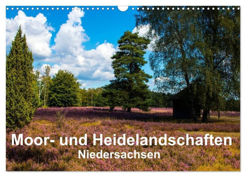 Moor- und Heidelandschaften Niedersachsen (Wandkalender 2027 DIN A3 quer), CALVENDO Monatskalender