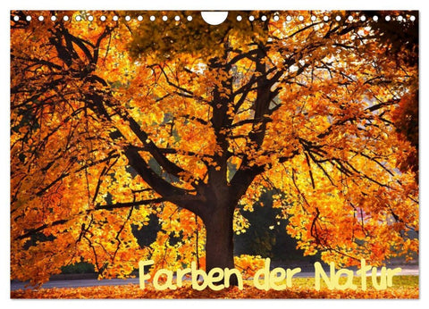 Farben der Natur (Wandkalender 2026 DIN A4 quer), CALVENDO Monatskalender