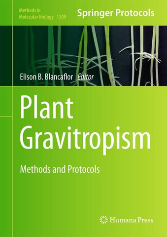 Plant Gravitropism