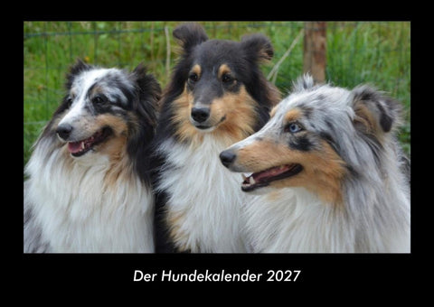 Der Hundekalender 2027 Fotokalender DIN A3