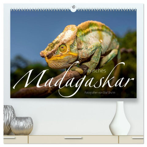 Tierisches Madagaskar (hochwertiger Premium Wandkalender 2026 DIN A2 quer), Kunstdruck in Hochglanz