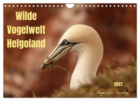Wilde Vogelwelt Helgoland (Wandkalender 2027 DIN A4 quer), CALVENDO Monatskalender