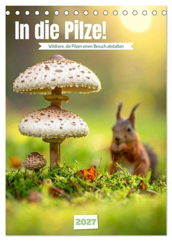 In die Pilze (Tischkalender 2027 DIN A5 hoch), CALVENDO Monatskalender