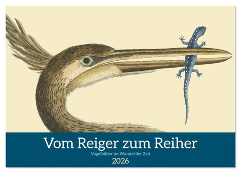 Vom Reiger zum Reiher (Tischkalender 2026 DIN A5 quer), CALVENDO Monatskalender