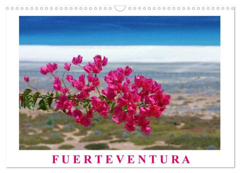 Fuerteventura (Wandkalender 2027 DIN A3 quer), CALVENDO Monatskalender