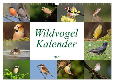 Wildvogelkalender (Wandkalender 2027 DIN A3 quer), CALVENDO Monatskalender