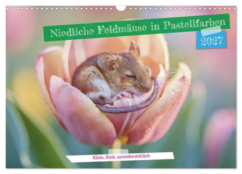 Niedliche Feldmäuse in Pastellfarben (Wandkalender 2027 DIN A3 quer), CALVENDO Monatskalender
