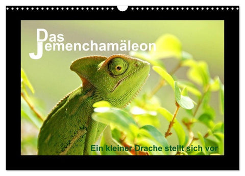 Das Jemenchamäleon (Wandkalender 2027 DIN A3 quer), CALVENDO Monatskalender