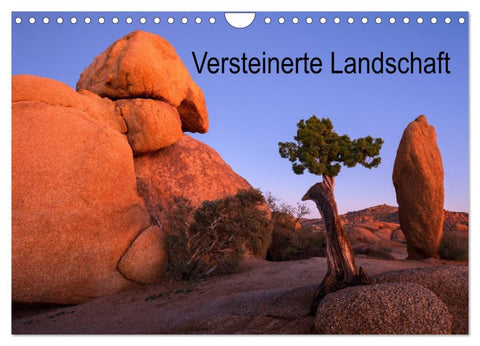 Versteinerte Landschaft (Wandkalender 2026 DIN A4 quer), CALVENDO Monatskalender