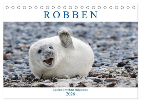 Robben - Lustige Bewohner Helgolands (Tischkalender 2026 DIN A5 quer), CALVENDO Monatskalender