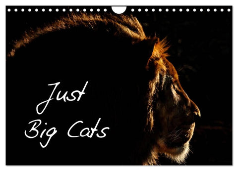 Just Big Cats (Wall Calendar 2026 DIN A4 landscape), CALVENDO 12 Month Wall Calendar