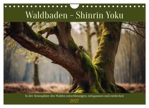 Waldbaden - Shinrin Yoku (Wandkalender 2027 DIN A4 quer), CALVENDO Monatskalender