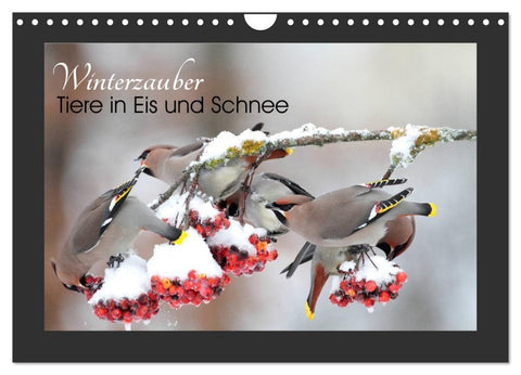 Winterzauber - Tiere in Eis und Schnee (Wandkalender 2027 DIN A4 quer), CALVENDO Monatskalender