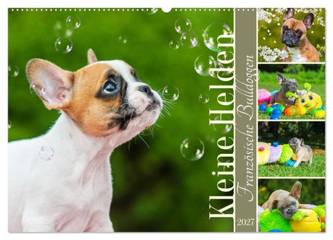 Kleine Helden - Französische Bulldoggen (Wandkalender 2027 DIN A2 quer), CALVENDO Monatskalender