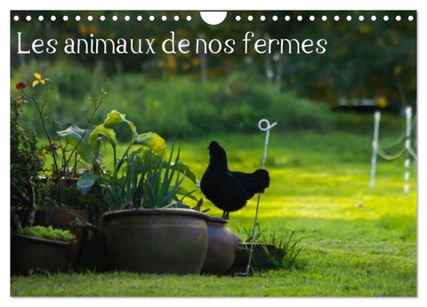 Les animaux de nos fermes (Calendrier mural 2026 DIN A4 vertical), CALVENDO calendrier mensuel