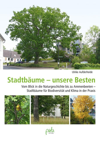 Stadtbäume – unsere Besten