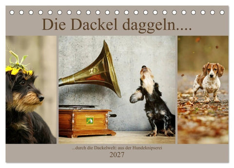 Die Dackel daggeln.... (Tischkalender 2027 DIN A5 quer), CALVENDO Monatskalender
