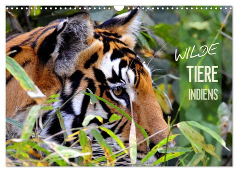 Wilde Tiere Indiens (Wandkalender 2027 DIN A3 quer), CALVENDO Monatskalender