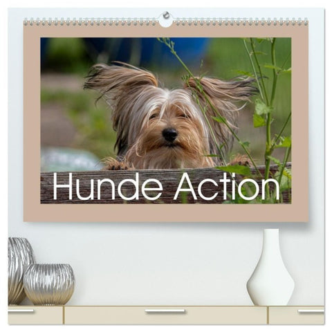 Hunde Action (hochwertiger Premium Wandkalender 2027 DIN A2 quer), Kunstdruck in Hochglanz
