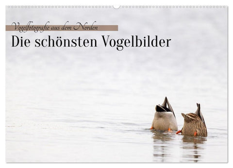 Vogelfotografie aus dem Norden (Wandkalender 2027 DIN A2 quer), CALVENDO Monatskalender