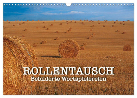 Rollentausch – Bebilderte Wortspielereien (Wandkalender 2027 DIN A3 quer), CALVENDO Monatskalender