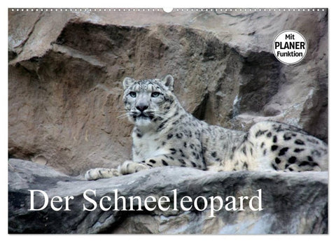 Der Schneeleopard (Wandkalender 2027 DIN A2 quer), CALVENDO Monatskalender